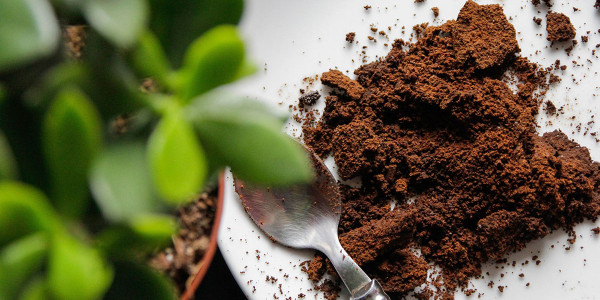 Co zrobić ze zużytą kawą? Ciekawe wskazówki.